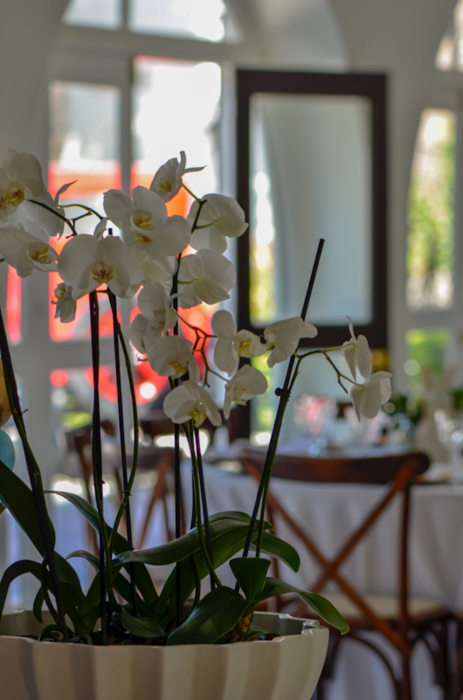 Evento en Los Arcos